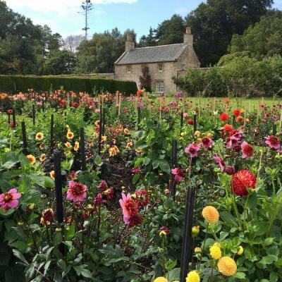 永乐国际手机app下载截图