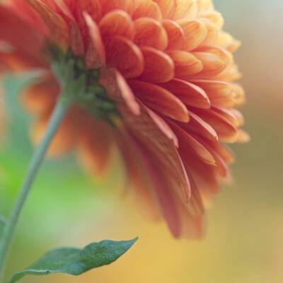 香港今晚六给彩开奖结果app下载