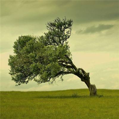 万博全站(Manbetx)官方网站