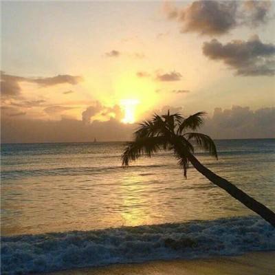 ng体育下载注册