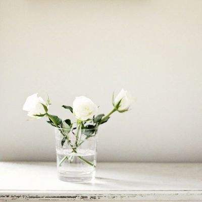 365平台官方版下载app下载