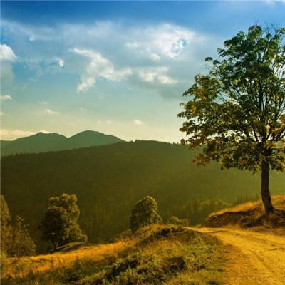 ballbet贝博官网app