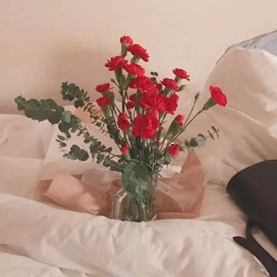 开云集团手机app下载