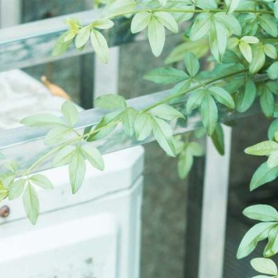 皇冠app官方版下载安装