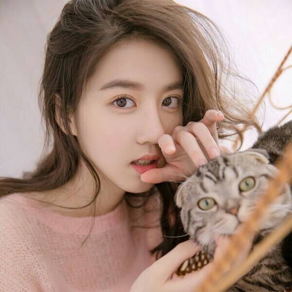 半岛网页版入口官网