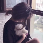 乐鱼app官网最新版下载